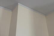 IMG_9327.jpeg