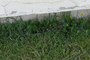 IMG_20260526_083943.jpg