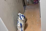 IMG_2988.jpeg