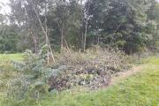 20260815_193211.heic