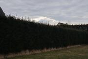 IMG_20260412_170541.jpg