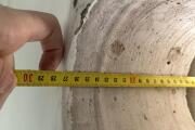 IMG_7226.jpeg