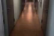 IMG_2059.HEIC