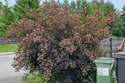 ab00dc6b-fd2c-4c11-9ec4-21f4c4322f85.jpg