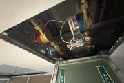 IMG_7878.jpeg