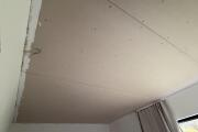 IMG_0173.jpeg