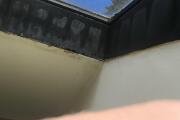 IMG_20260419_112431.jpg