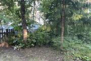 IMG_5759.JPG