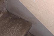 20260601_204704.jpg