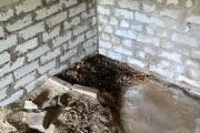 IMG_3889.jpeg