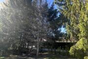 IMG_9079.jpeg