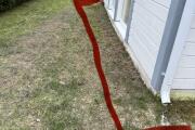 IMG_1363.jpeg