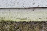 IMG_1365.jpeg