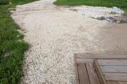 PXL_20260626_060404982.jpg