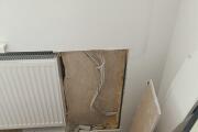 IMG_20260812_144233.jpg