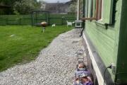 IMG_1334 Large.jpeg
