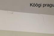 IMG_0645.jpeg