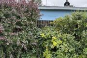 IMG_5185.jpeg