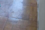 IMG_20260724_103846.jpg