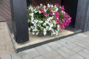 IMG_4411.jpeg