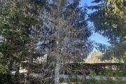IMG_9080.jpeg