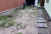 IMG_5290.jpeg