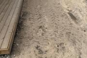 IMG_0215.jpeg