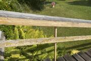 IMG_2449.jpeg