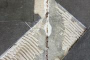 IMG_5567.jpeg