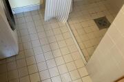 IMG_7946.jpeg
