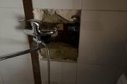 IMG_8135.jpeg