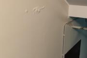 IMG_4827.jpeg