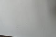 IMG_5281.jpeg
