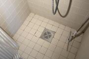 IMG_7944.jpeg