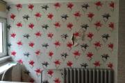 IMG_20260520_070454.jpg
