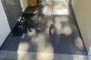 IMG_7225.jpeg