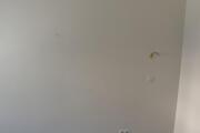 IMG_8029.jpeg