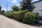 IMG_4382.jpeg