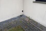 IMG_3748.jpeg