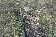 10127017-bb8a-49e1-be21-79fd30d80950.jpeg