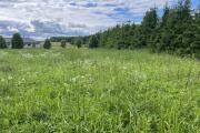 IMG_7671.jpeg