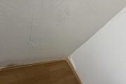 IMG_1081.HEIC