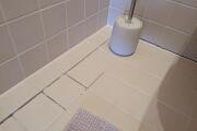 PXL_20261015_084633315.jpg