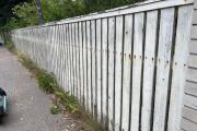 IMG_6250.jpeg