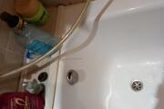 20260805_202413.jpg
