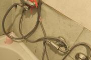 IMG_20260522_091350.jpg