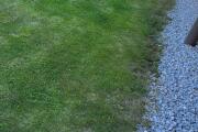 20260620_162149.jpg