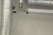 IMG_8318.jpeg