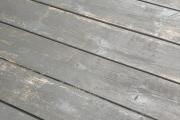 IMG_4735.jpeg
