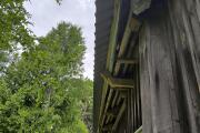 IMG_20260709_151830.jpg